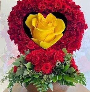 Meet your Posher, Angelica